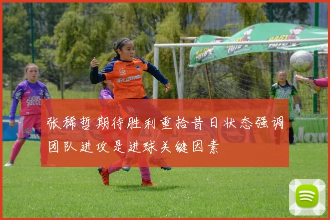张稀哲期待胜利重拾昔日状态强调团队进攻是进球关键因素