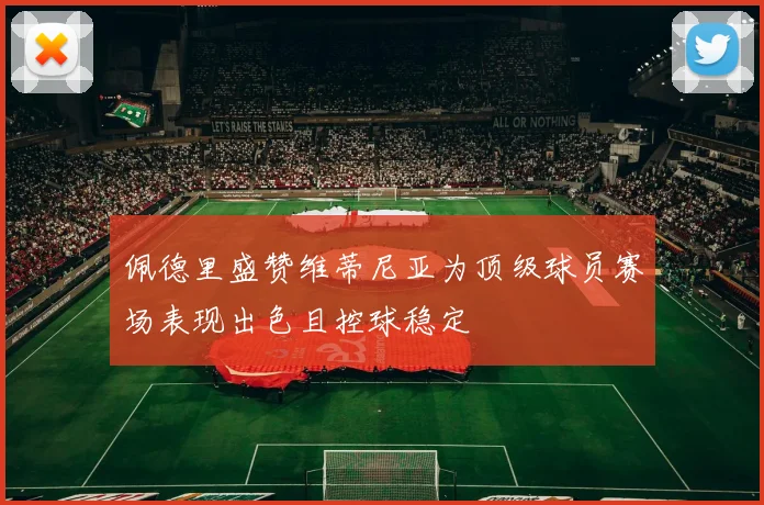 佩德里盛赞维蒂尼亚为顶级球员赛场表现出色且控球稳定